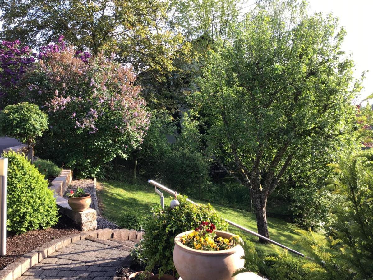 Ferienwohnung Zum Harpelstein Horath 外观 照片