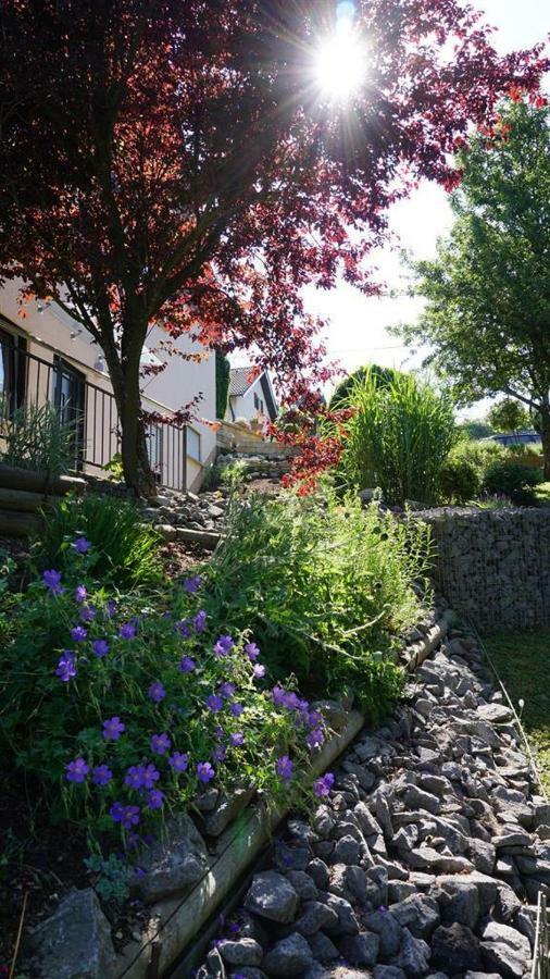 Ferienwohnung Zum Harpelstein Horath 外观 照片